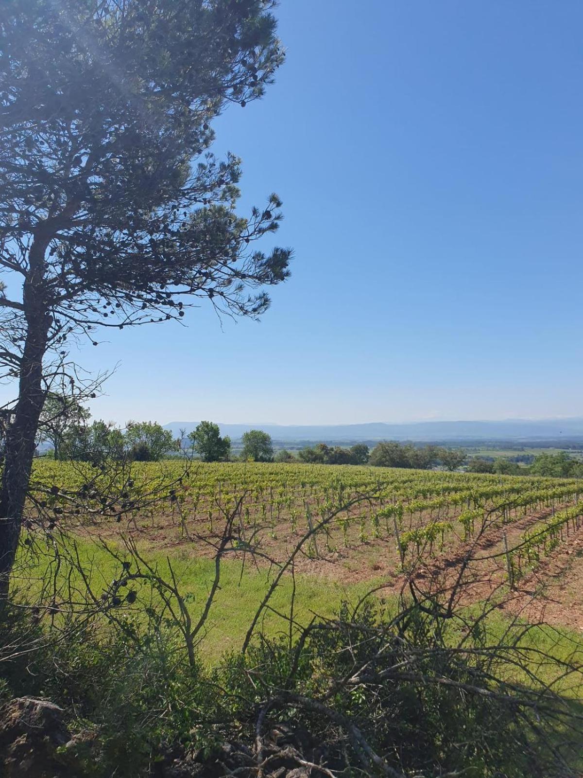 Maison De Charme Caunes-Minervois Exteriör bild